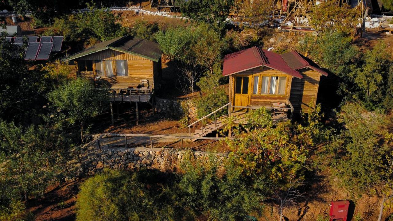 Olive Garden Kabak Hotel Faralya Kültér fotó