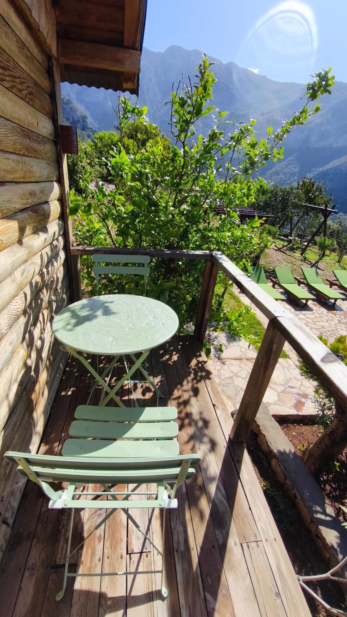 Olive Garden Kabak Hotel Faralya Kültér fotó