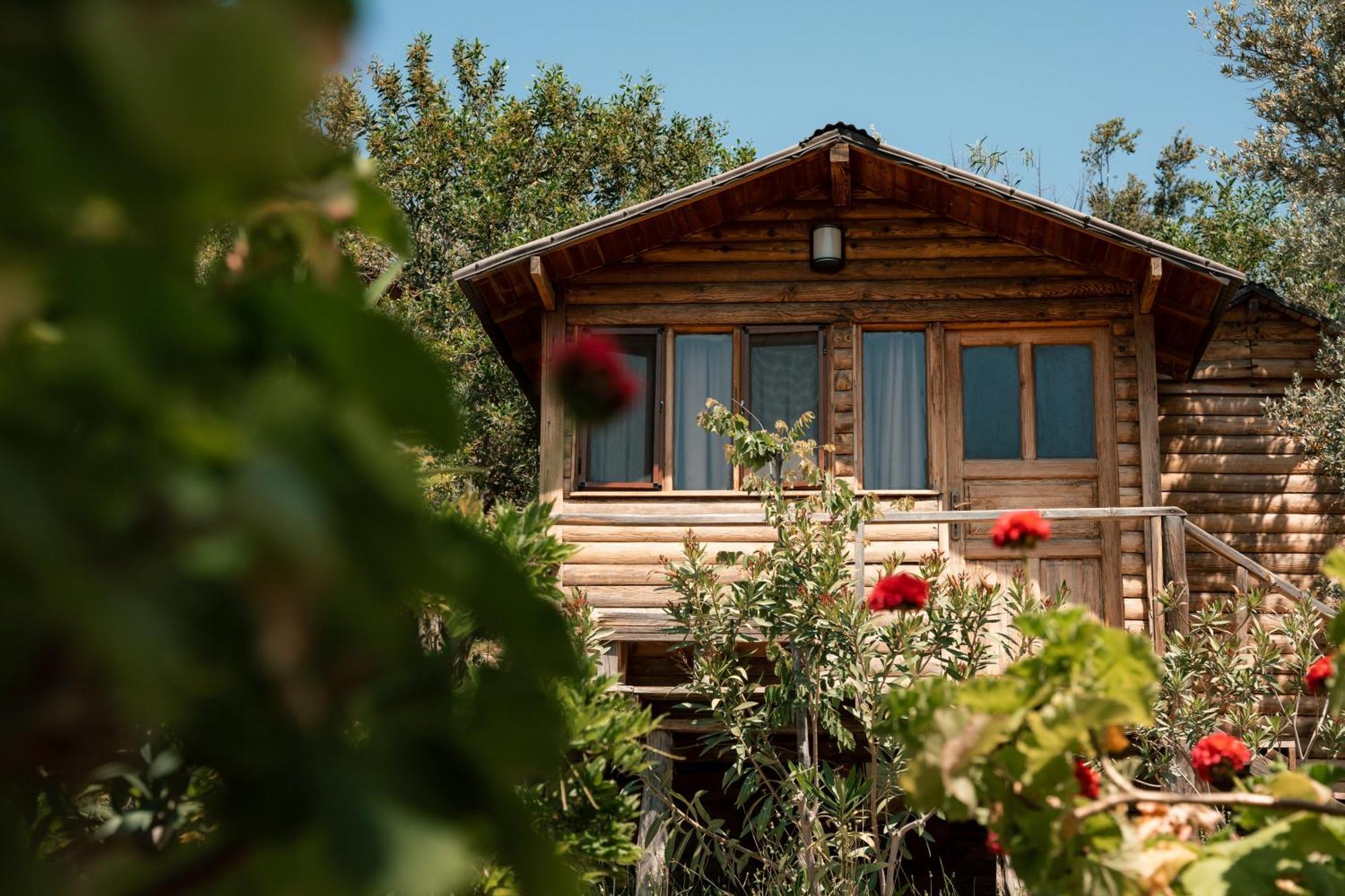 Olive Garden Kabak Hotel Faralya Kültér fotó