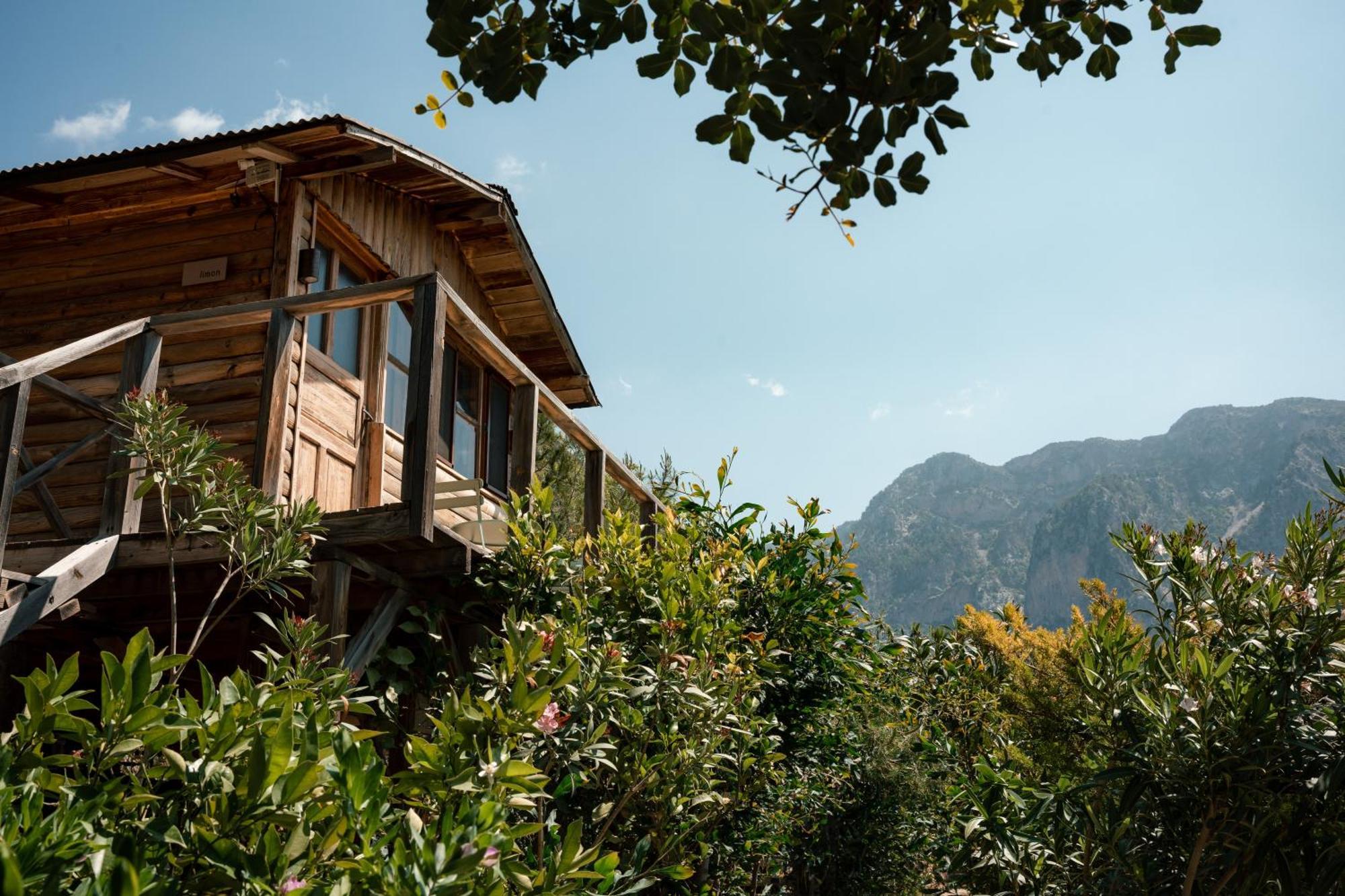 Olive Garden Kabak Hotel Faralya Kültér fotó