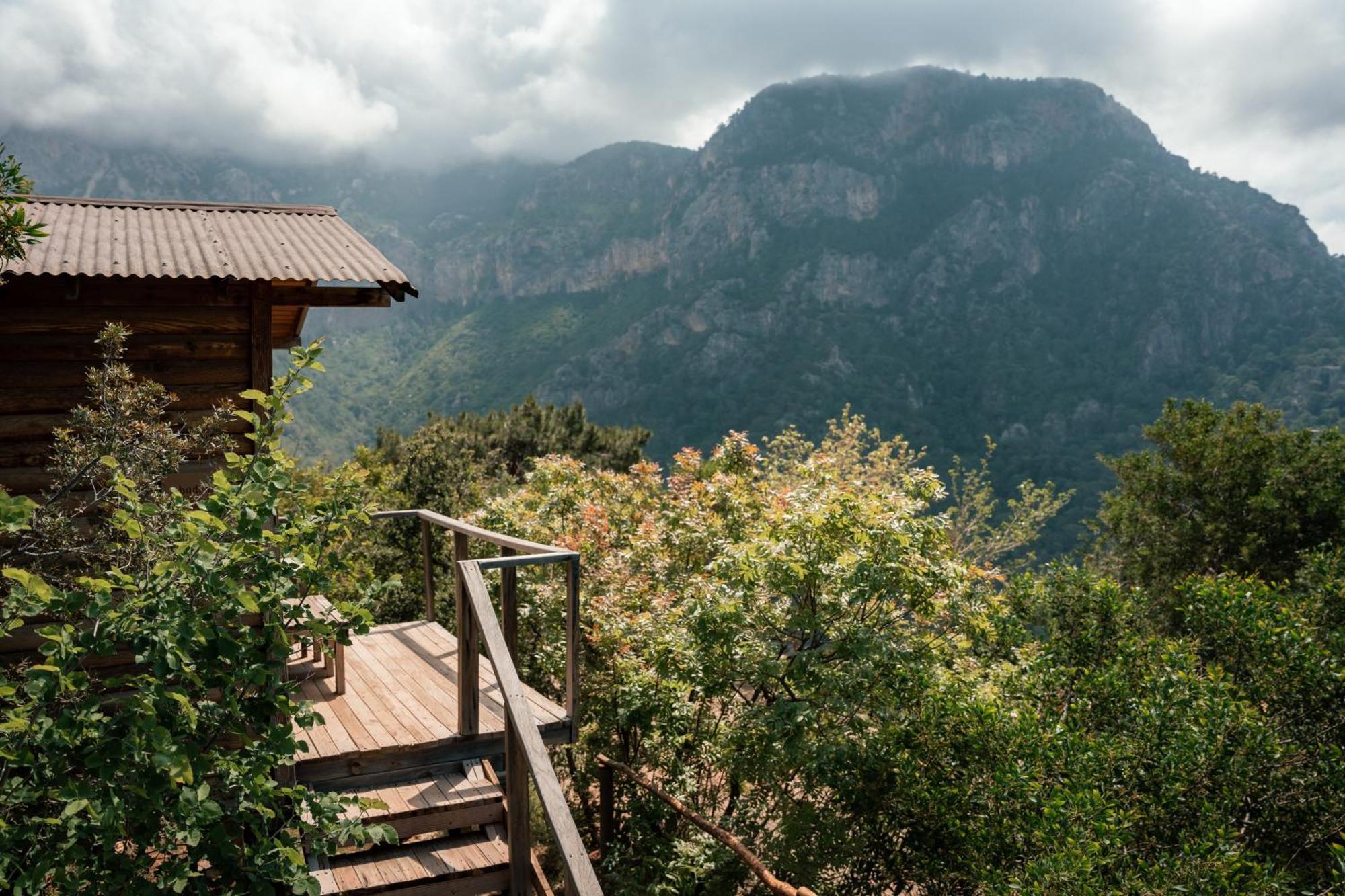 Olive Garden Kabak Hotel Faralya Kültér fotó