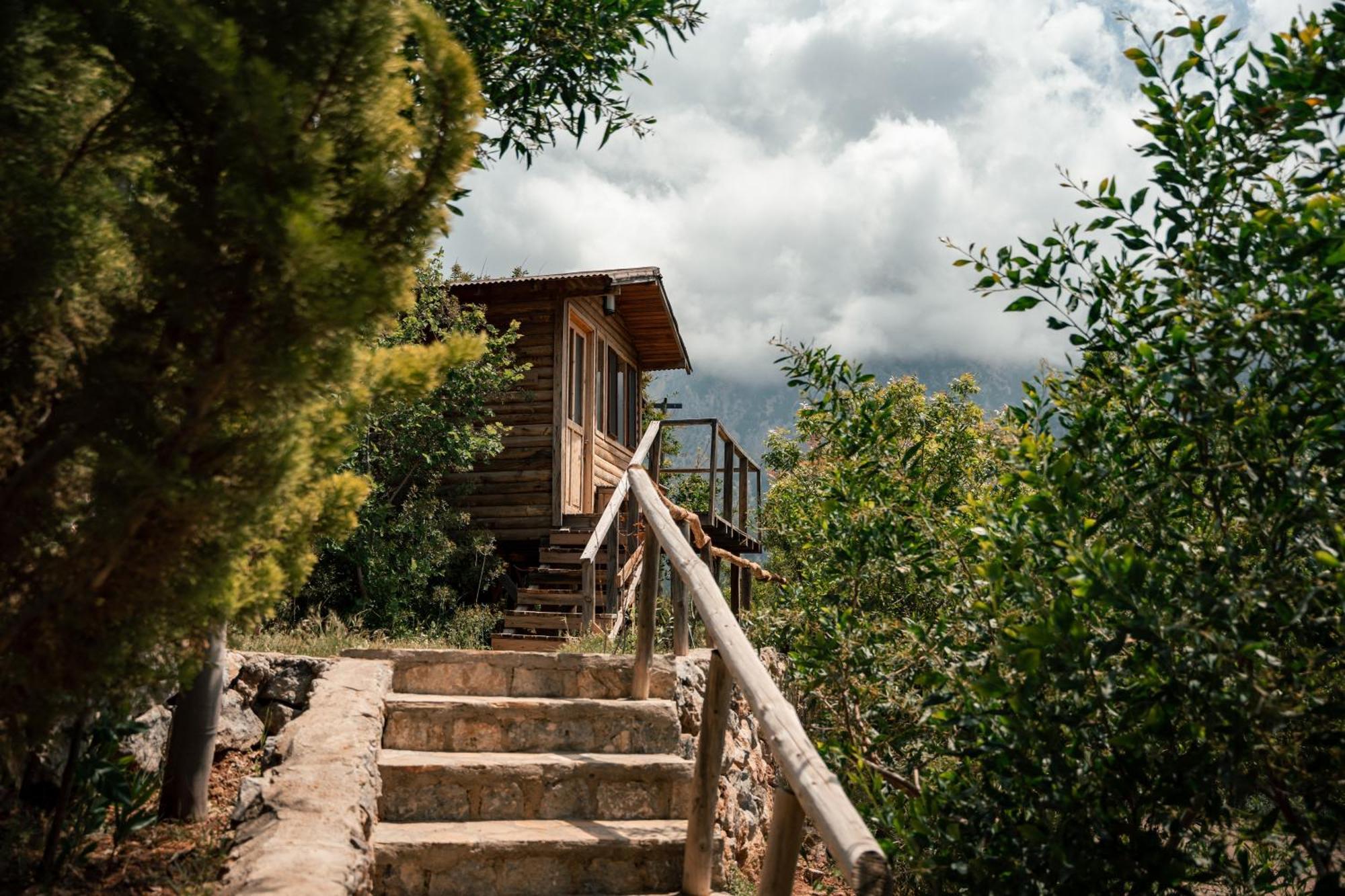 Olive Garden Kabak Hotel Faralya Kültér fotó