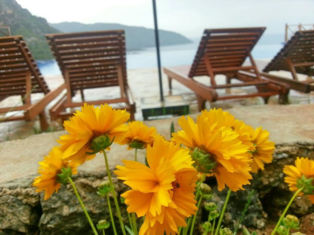 Olive Garden Kabak Hotel Faralya Kültér fotó