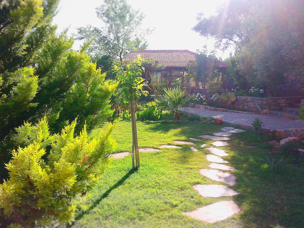 Olive Garden Kabak Hotel Faralya Kültér fotó