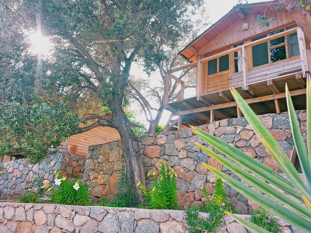 Olive Garden Kabak Hotel Faralya Kültér fotó