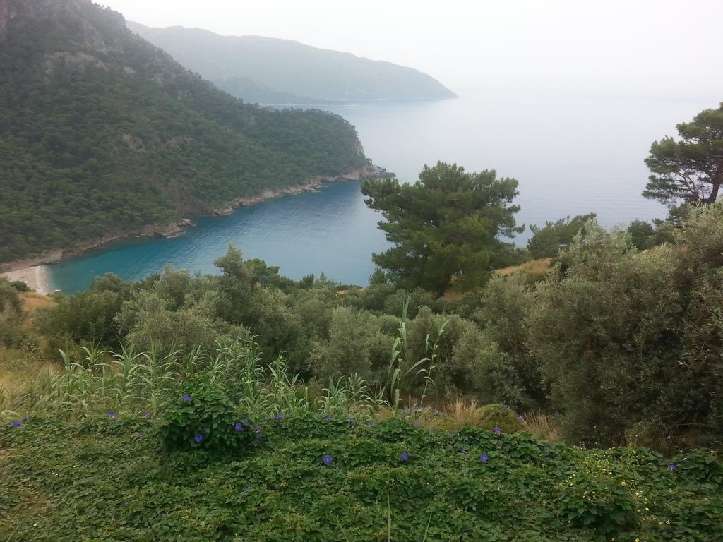 Olive Garden Kabak Hotel Faralya Kültér fotó